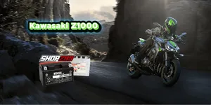 Shop 299 Gợi Ý: Ắc Quy Nào Hoàn Hảo Cho Kawasaki Z-Series Naked Bike?
