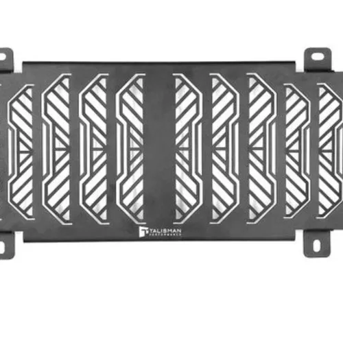 CHE KÉT NƯỚC TALISMAN CHO KAWASAKI Z650 - 19