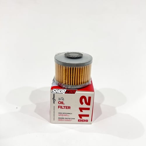 LỌC NHỚT BBS 112