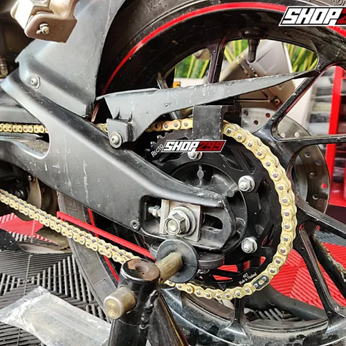 SÊN VÀNG RECTO 428 132L (CÓ PHỐT)
