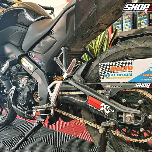 SÊN VÀNG RECTO 428 132L (CÓ PHỐT)