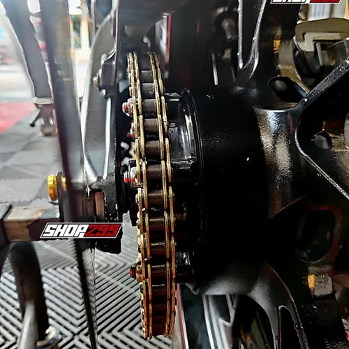SÊN VÀNG RECTO 428 132L (CÓ PHỐT)