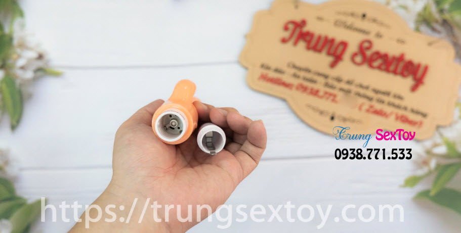 duong vat gia mini duong vat gia mini