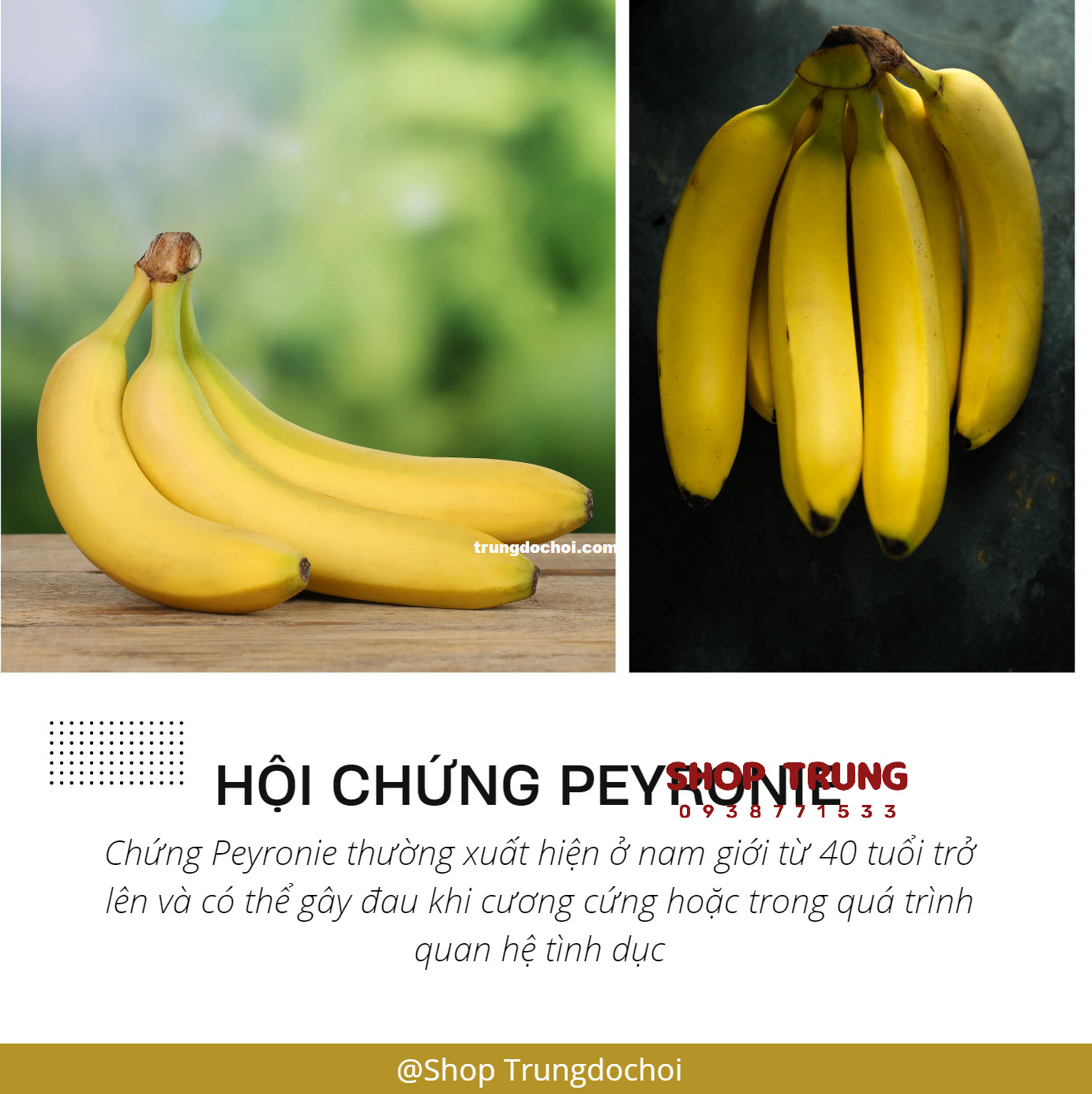 duong vat gi cong duong vat gi cong