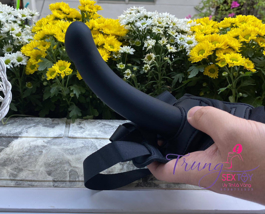 dung cu tinh duc cho les dung cu tinh duc cho les