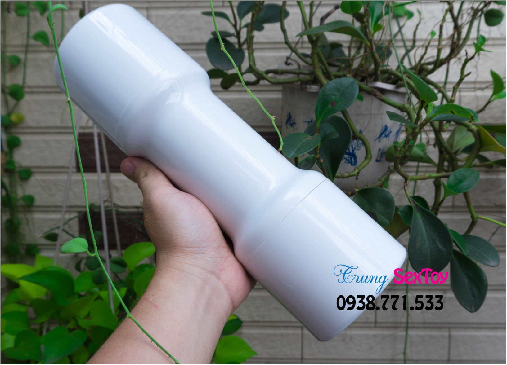 âm đạo giả gắn tường Spider âm đạo giả gắn tường Spider