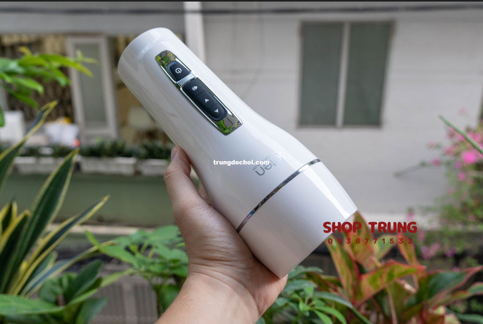 am dao gia leten co rung 2024 am dao gia leten co rung 2024