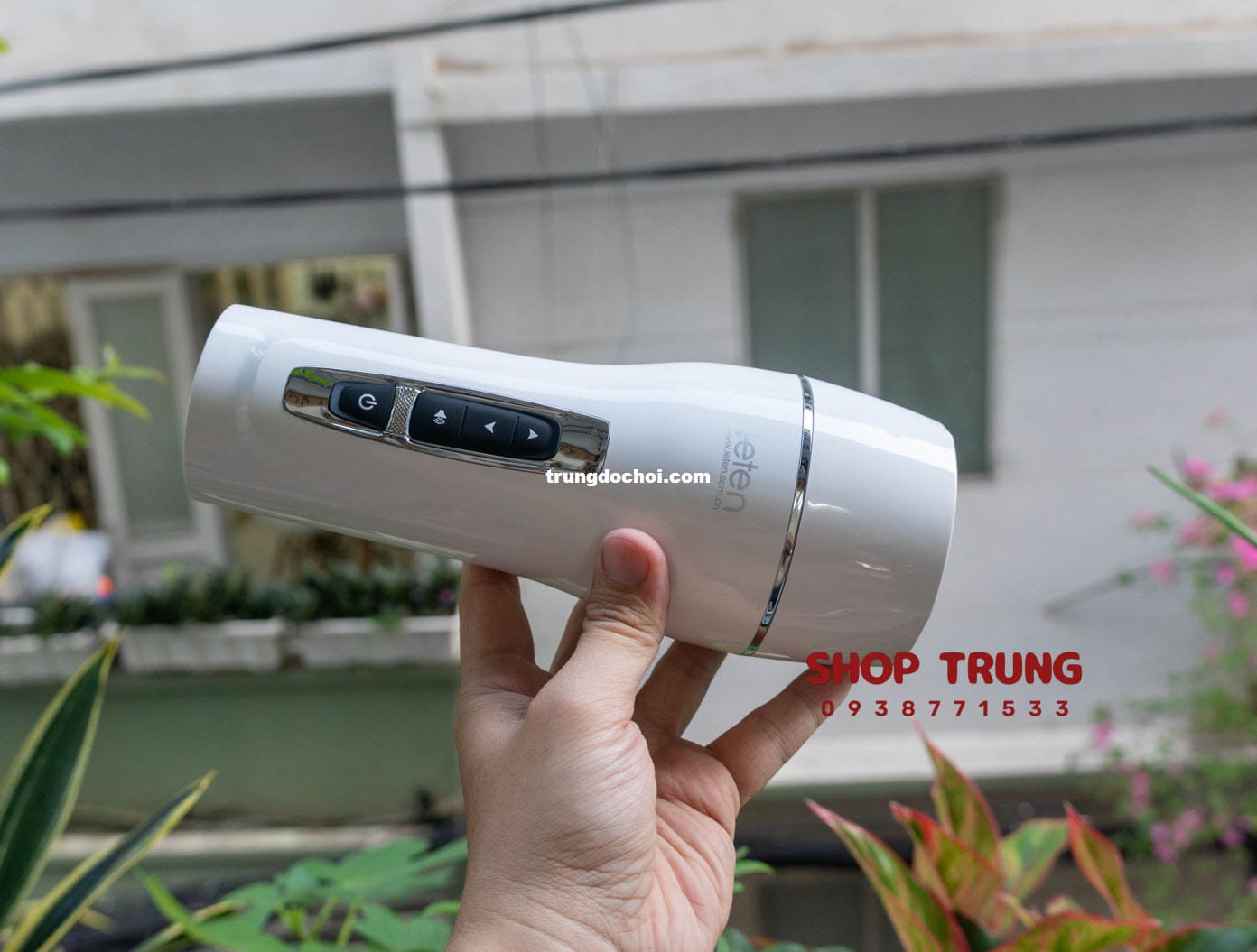 am dao gia leten co rung 2024 am dao gia leten co rung 2024