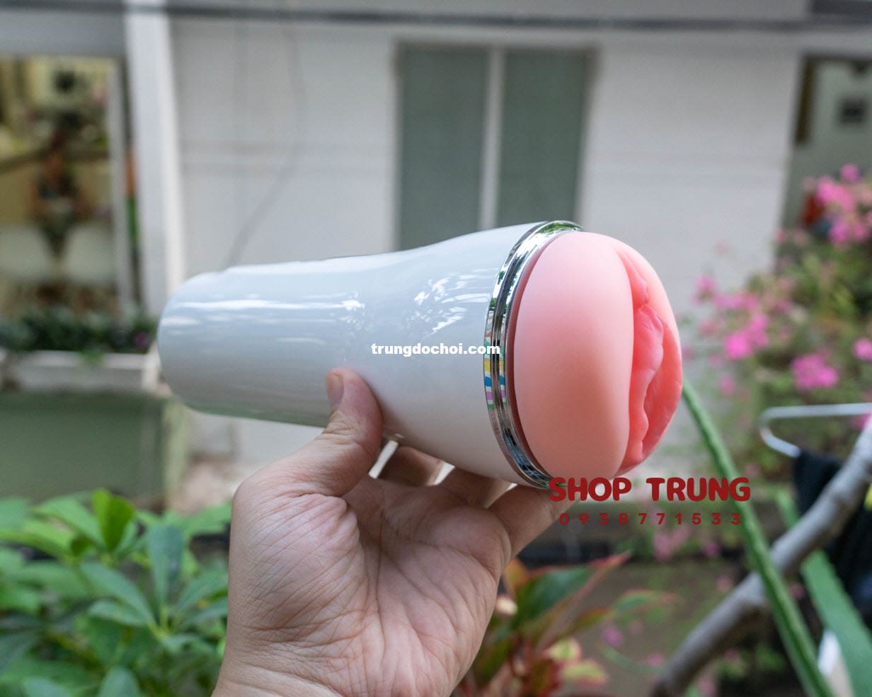 am dao gia leten co rung 2024 am dao gia leten co rung 2024