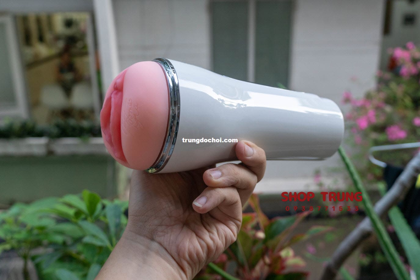 am dao gia leten co rung 2024 am dao gia leten co rung 2024