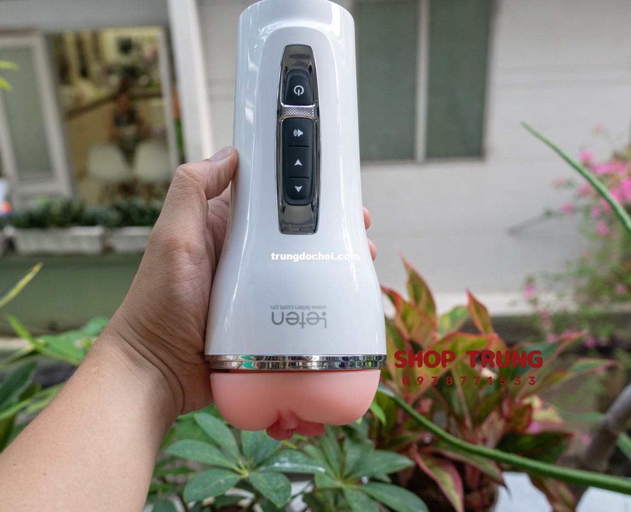 am dao gia leten co rung 2024 am dao gia leten co rung 2024