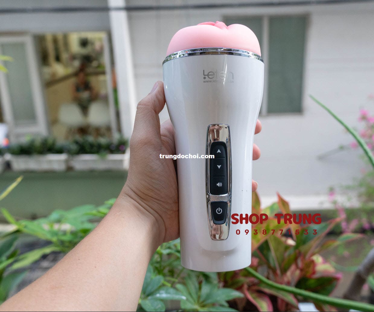 am dao gia leten co rung 2024 am dao gia leten co rung 2024