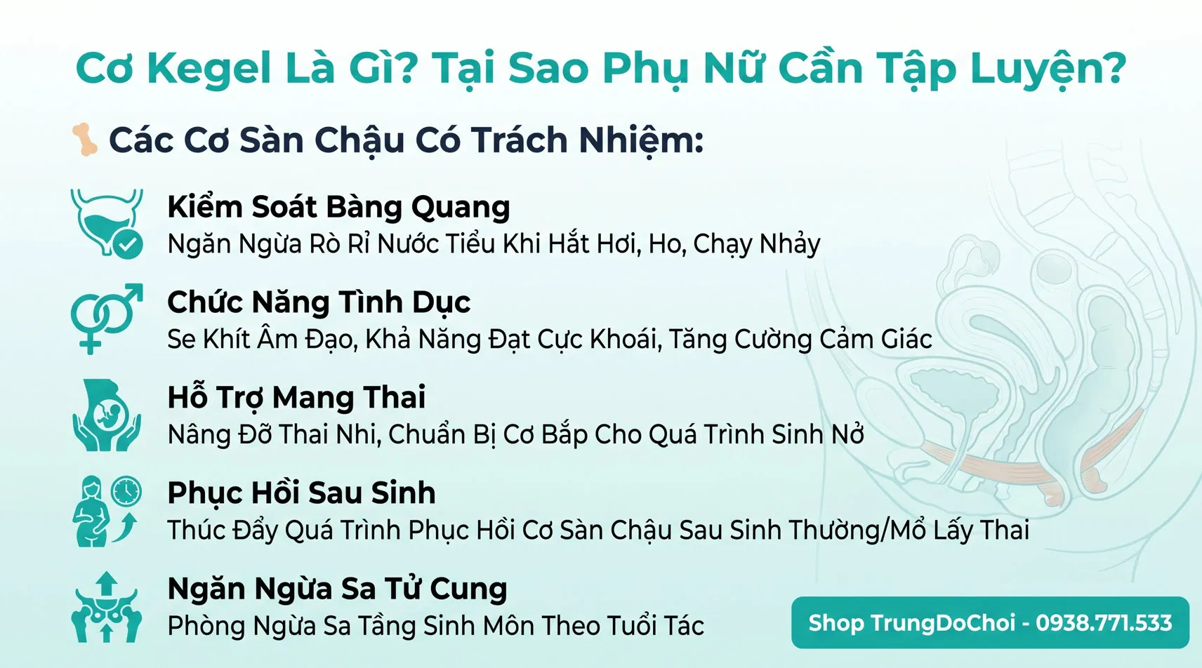 Cơ Kegel Là Gì? Tại Sao Phụ Nữ Cần Tập? Cơ Kegel Là Gì? Tại Sao Phụ Nữ Cần Tập?