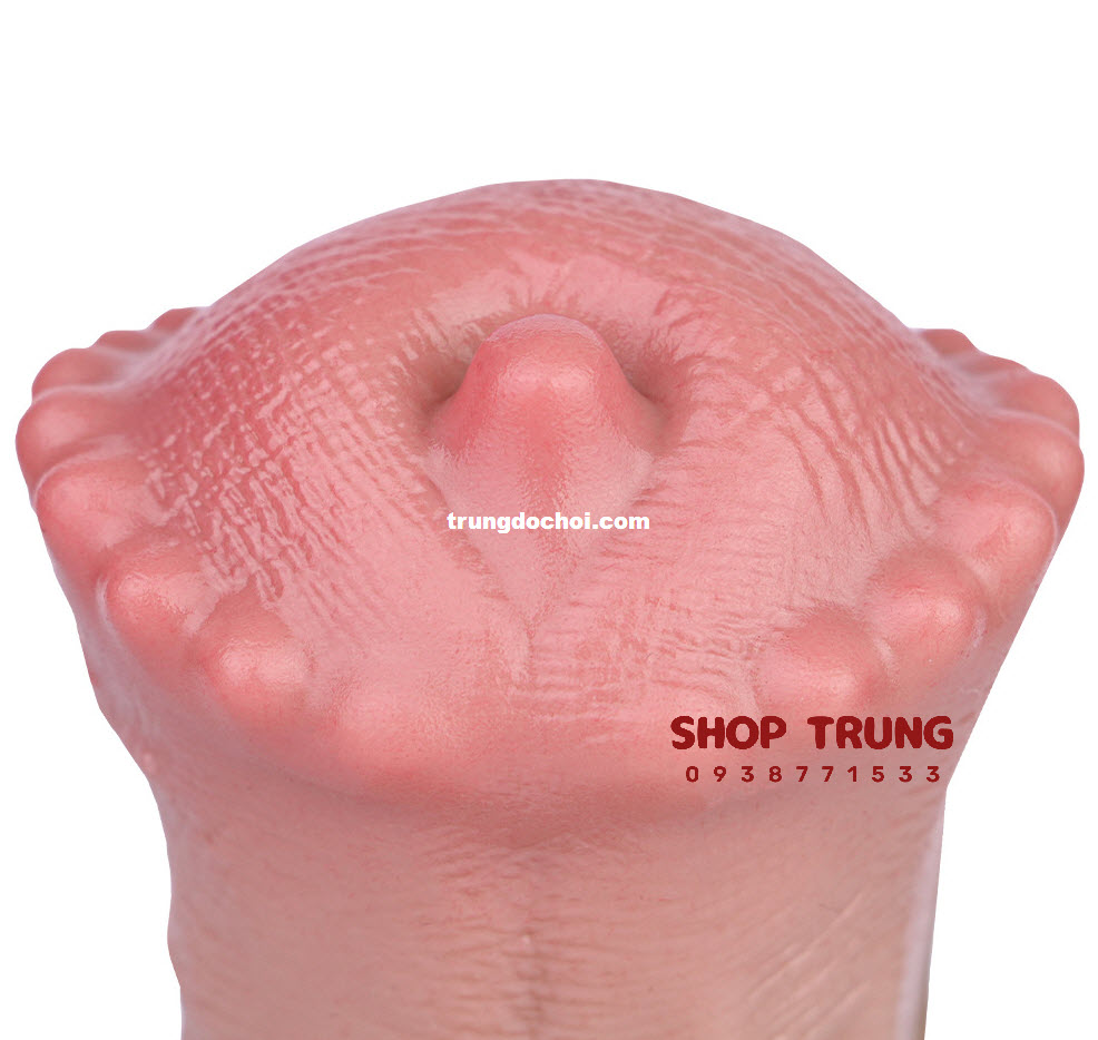 bcs cu ngua bcs cu ngua