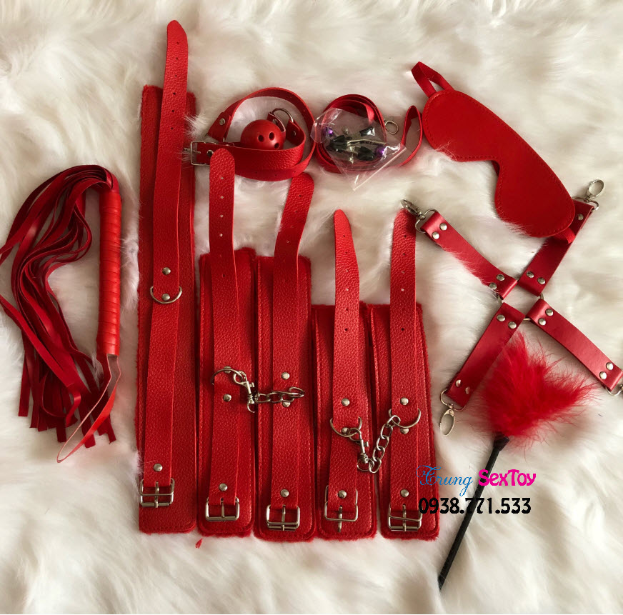 dụng cụ bdsm 10 món dụng cụ bdsm 10 món