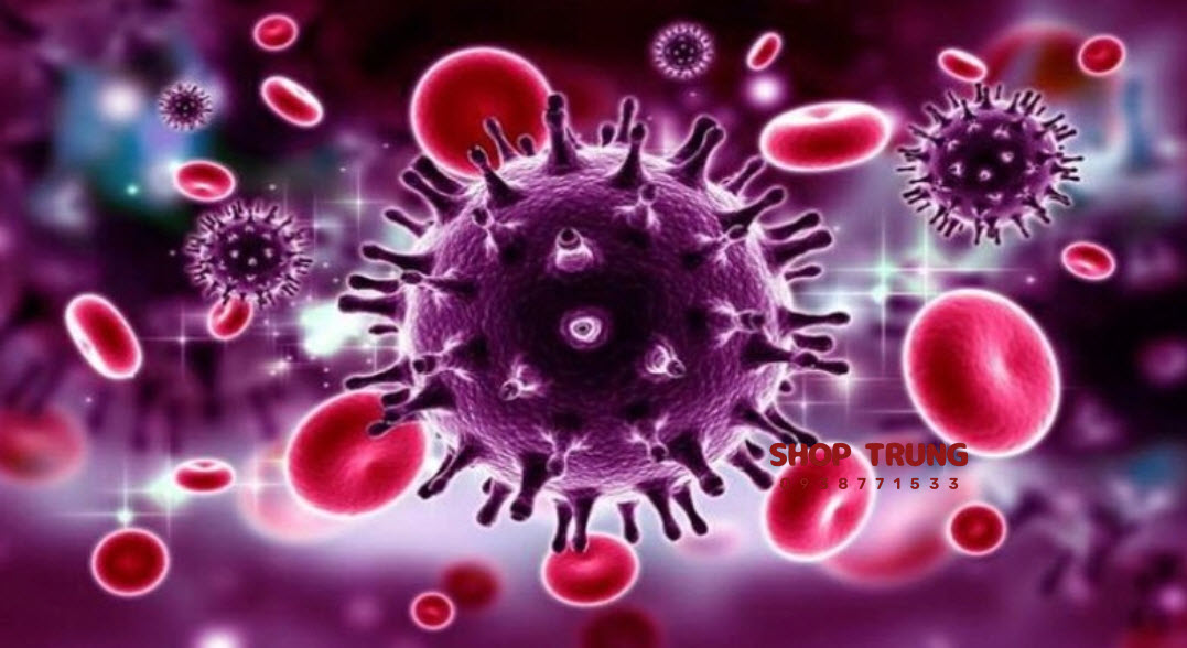 benh lay quan duong tinh duc benh lay quan duong tinh duc