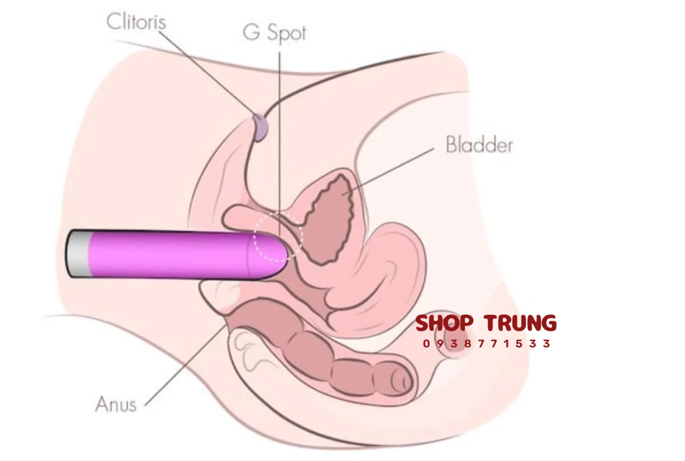 cach thu dam bang may rung cach thu dam bang may rung