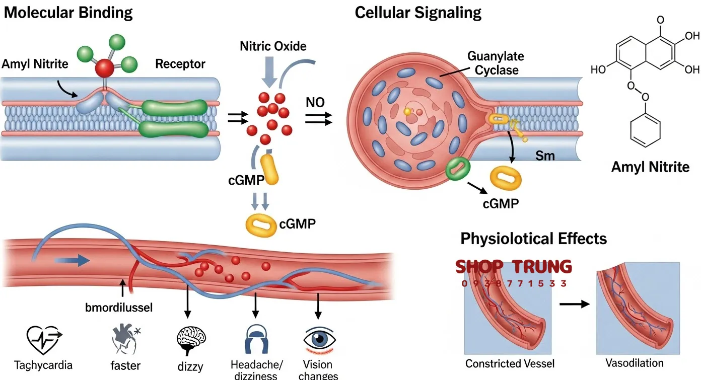 So sanh popper voi chat khac So sanh popper voi chat khac