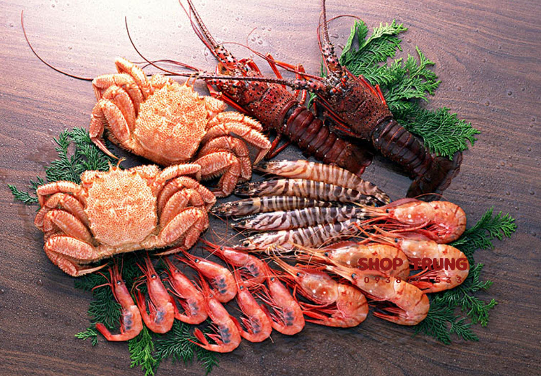 che do dinh duong cho duong vat che do dinh duong cho duong vat