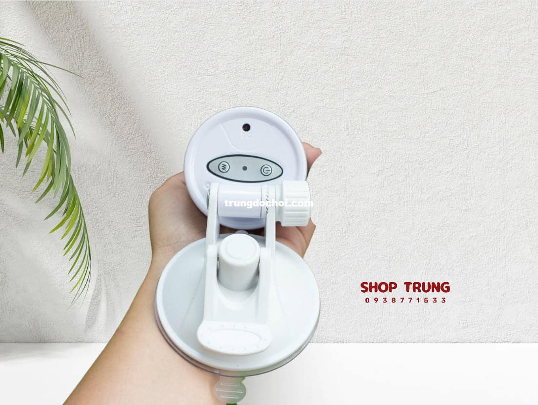 am dao gia Crazy Bull Flora am dao gia Crazy Bull Flora