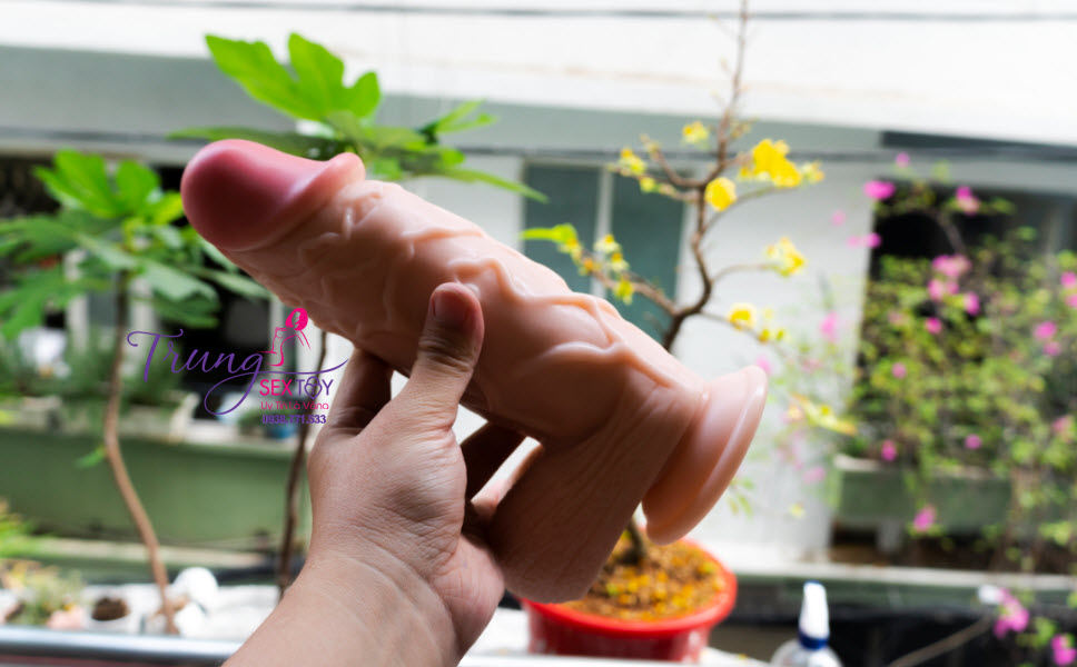 duong vat gia hang khung  duong vat gia hang khung