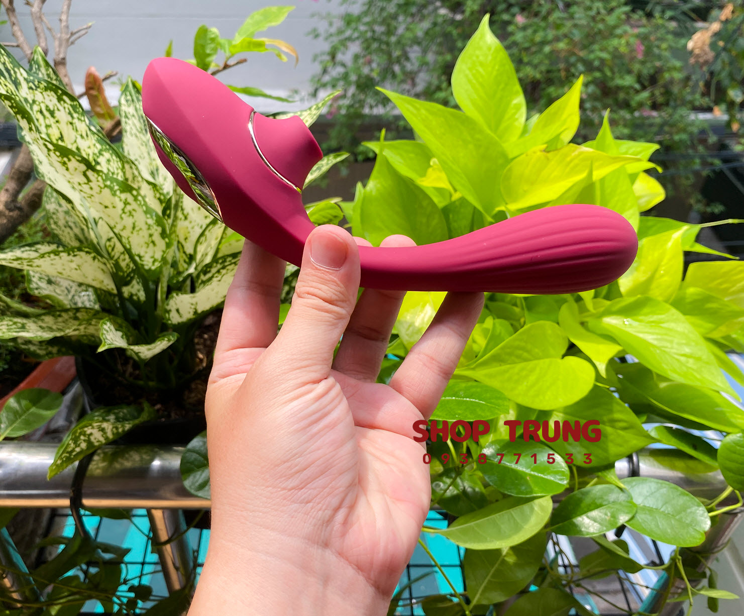 phan loai duong vat gia phan loai duong vat gia