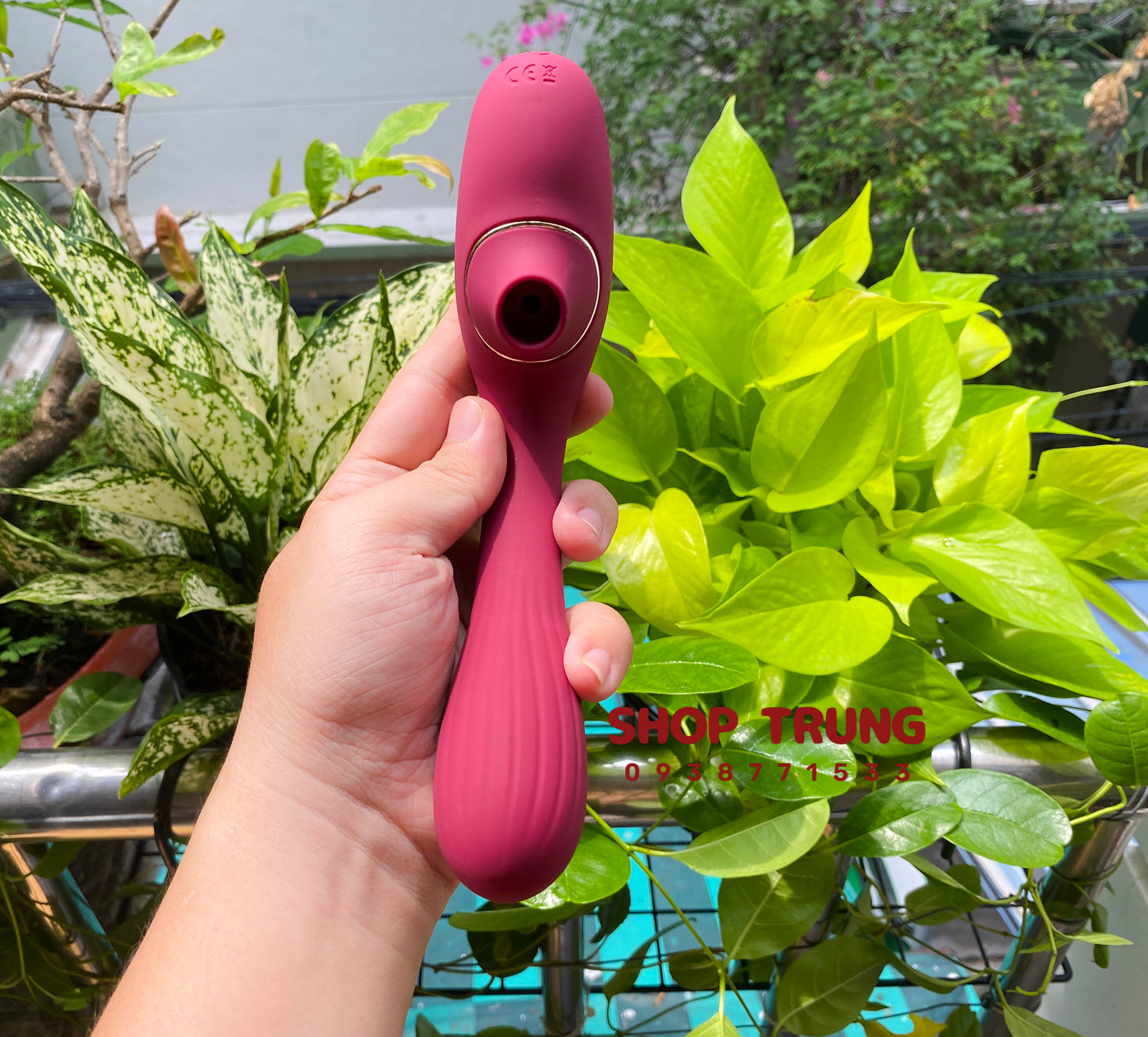 phan loai duong vat gia phan loai duong vat gia