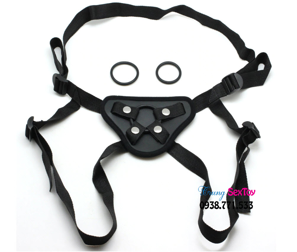 Dụng cụ tình dục dành cho les Dụng cụ tình dục dành cho les