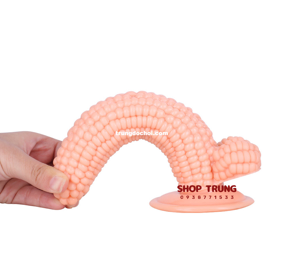 duong vat gia hinh trai bap  duong vat gia hinh trai bap