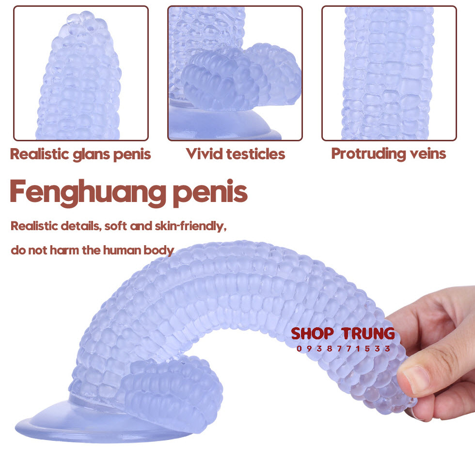 duong vat gia hinh trai bap  duong vat gia hinh trai bap