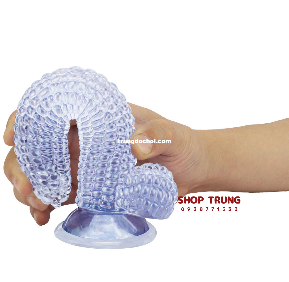 duong vat gia hinh trai bap  duong vat gia hinh trai bap