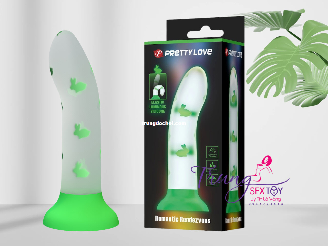 duong vat gia phat sang duong vat gia phat sang