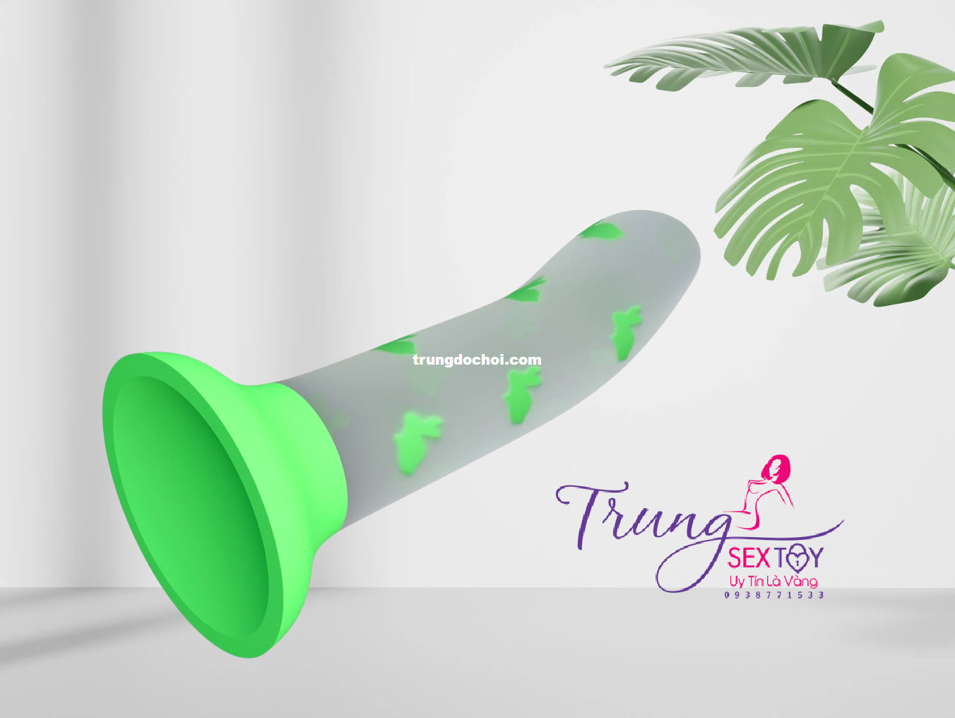 duong vat gia phat sang duong vat gia phat sang