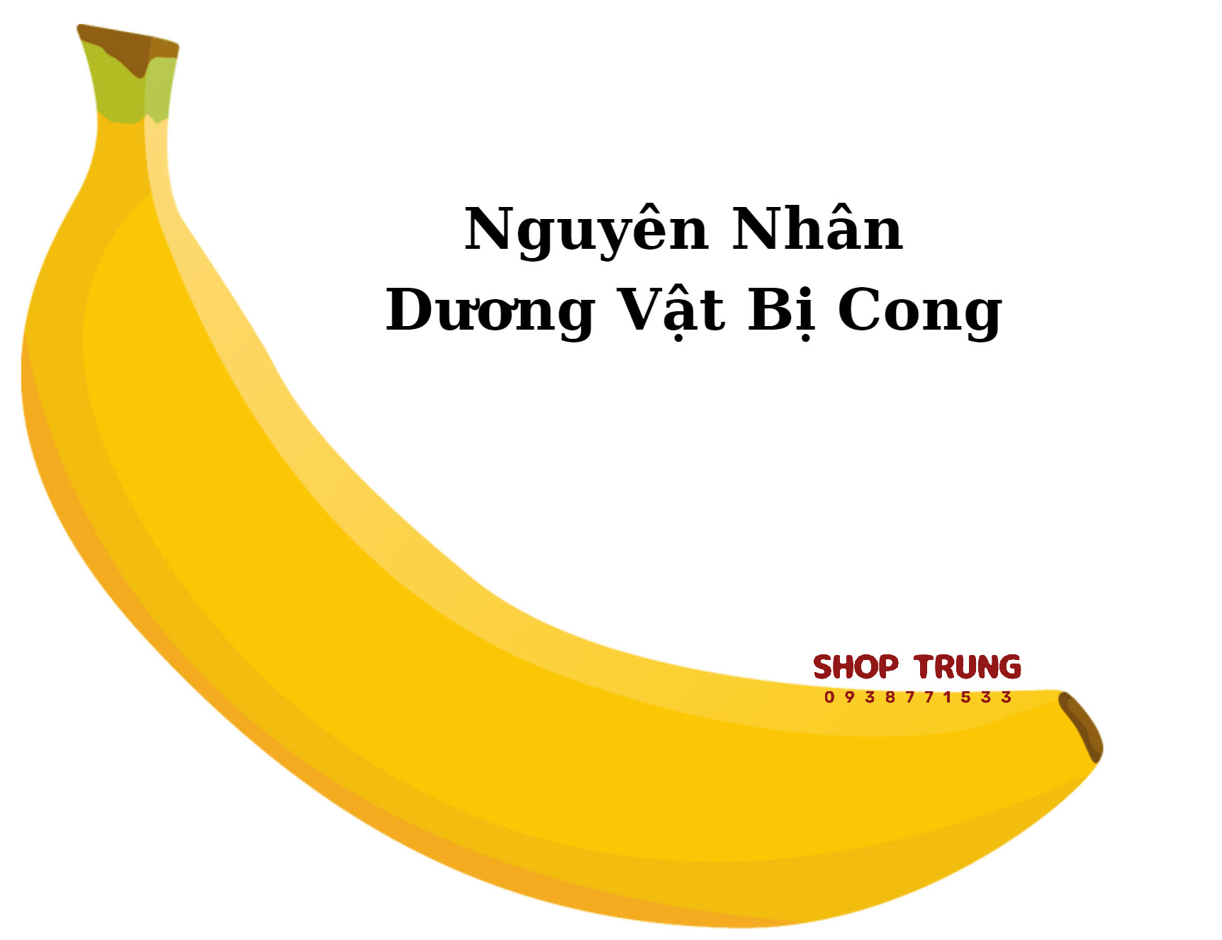 duong vat gi bi cong duong vat gi bi cong