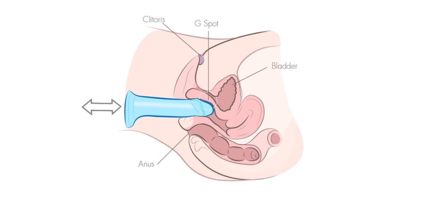 9 ky thuat su dung duong vat gia 9 ky thuat su dung duong vat gia