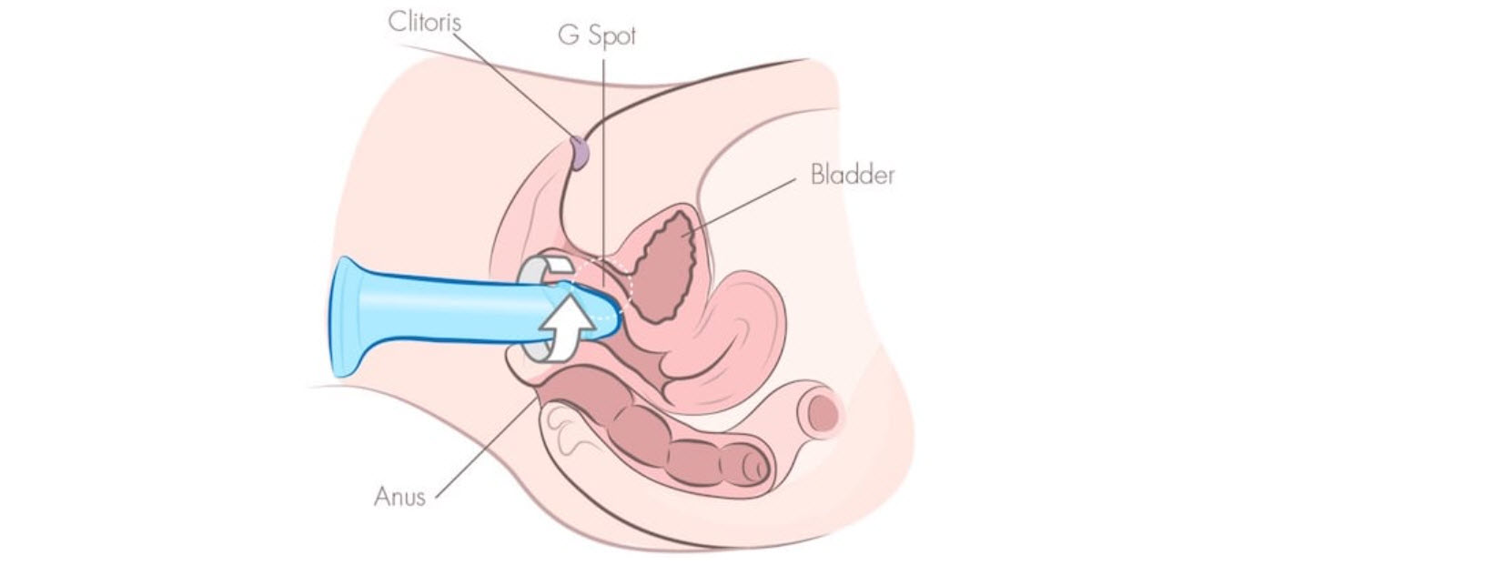 9 ky thuat su dung duong vat gia 9 ky thuat su dung duong vat gia