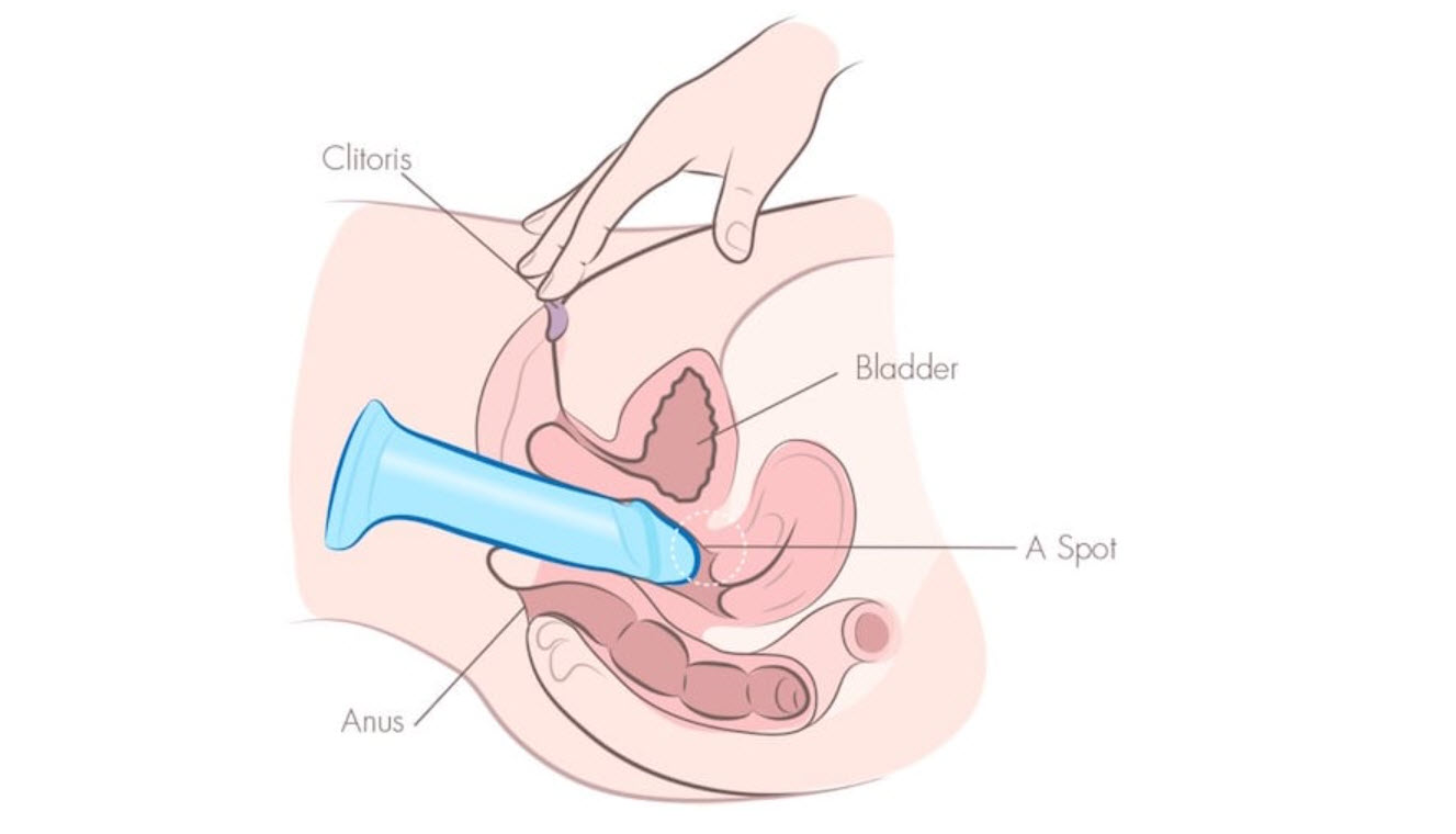9 ky thuat su dung duong vat gia 9 ky thuat su dung duong vat gia