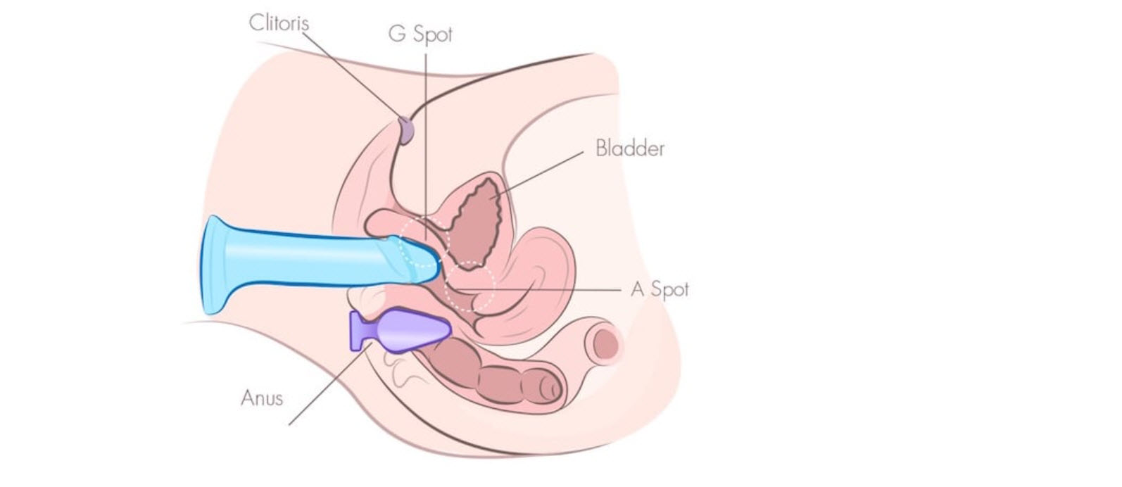 9 ky thuat su dung duong vat gia 9 ky thuat su dung duong vat gia