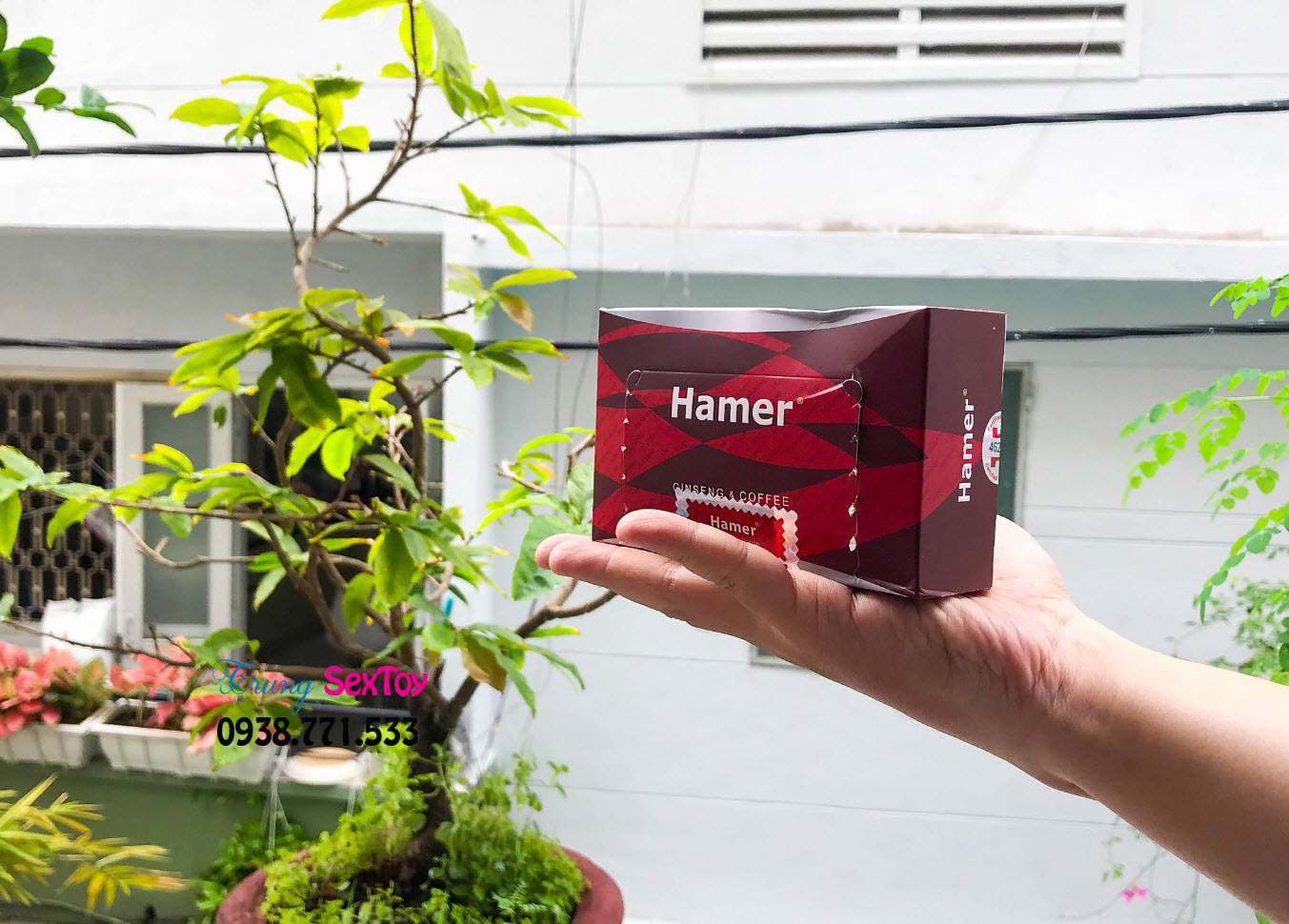 Kẹo sâm hamer hàng chính hãng bán ở đâu Kẹo sâm hamer hàng chính hãng bán ở đâu