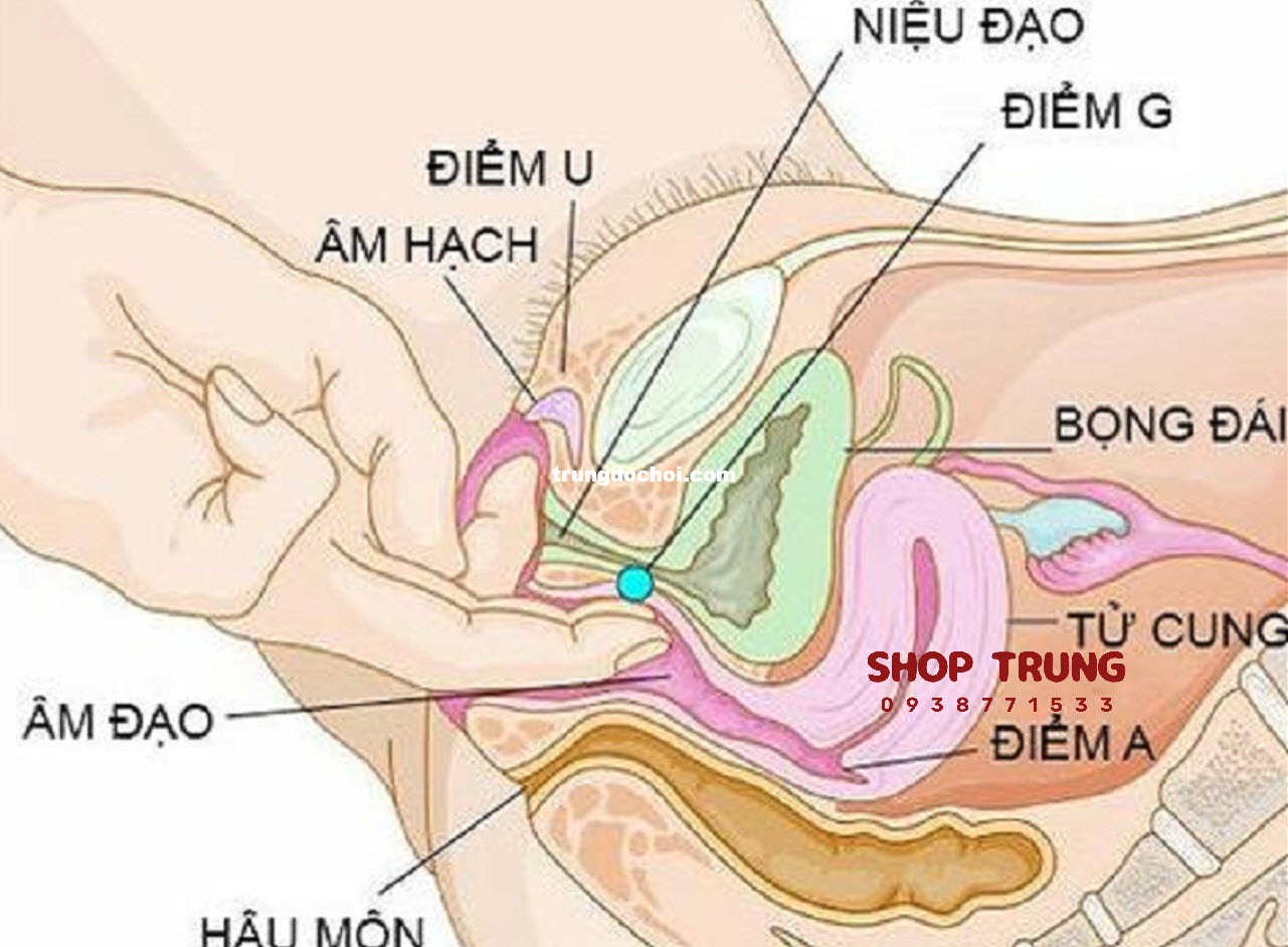 kich thich diem nhay cam cua nu kich thich diem nhay cam cua nu