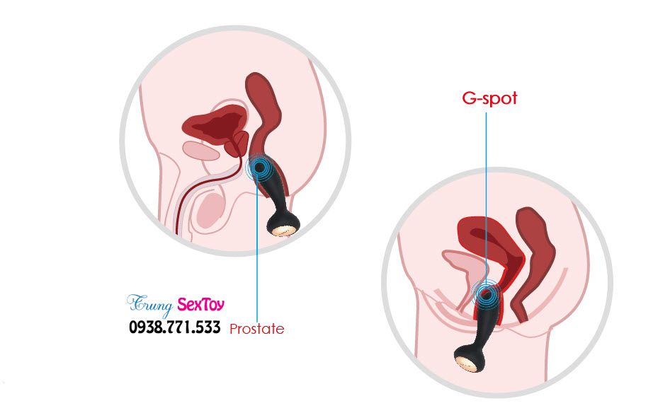 kích thích hậu môn Svakom kích thích hậu môn Svakom