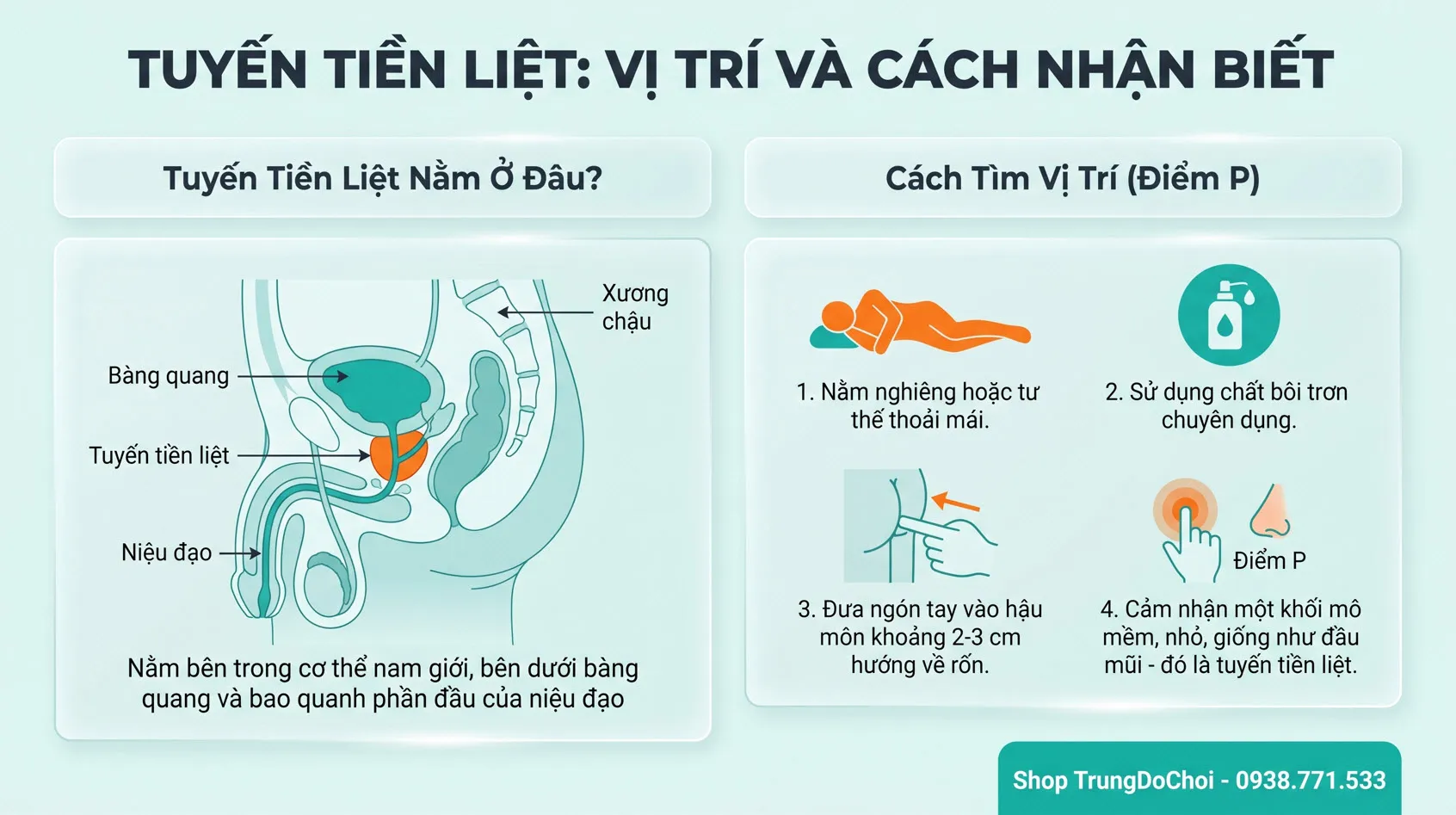 Kích thích tuyến tiền liệt cho Gay Kích thích tuyến tiền liệt cho Gay