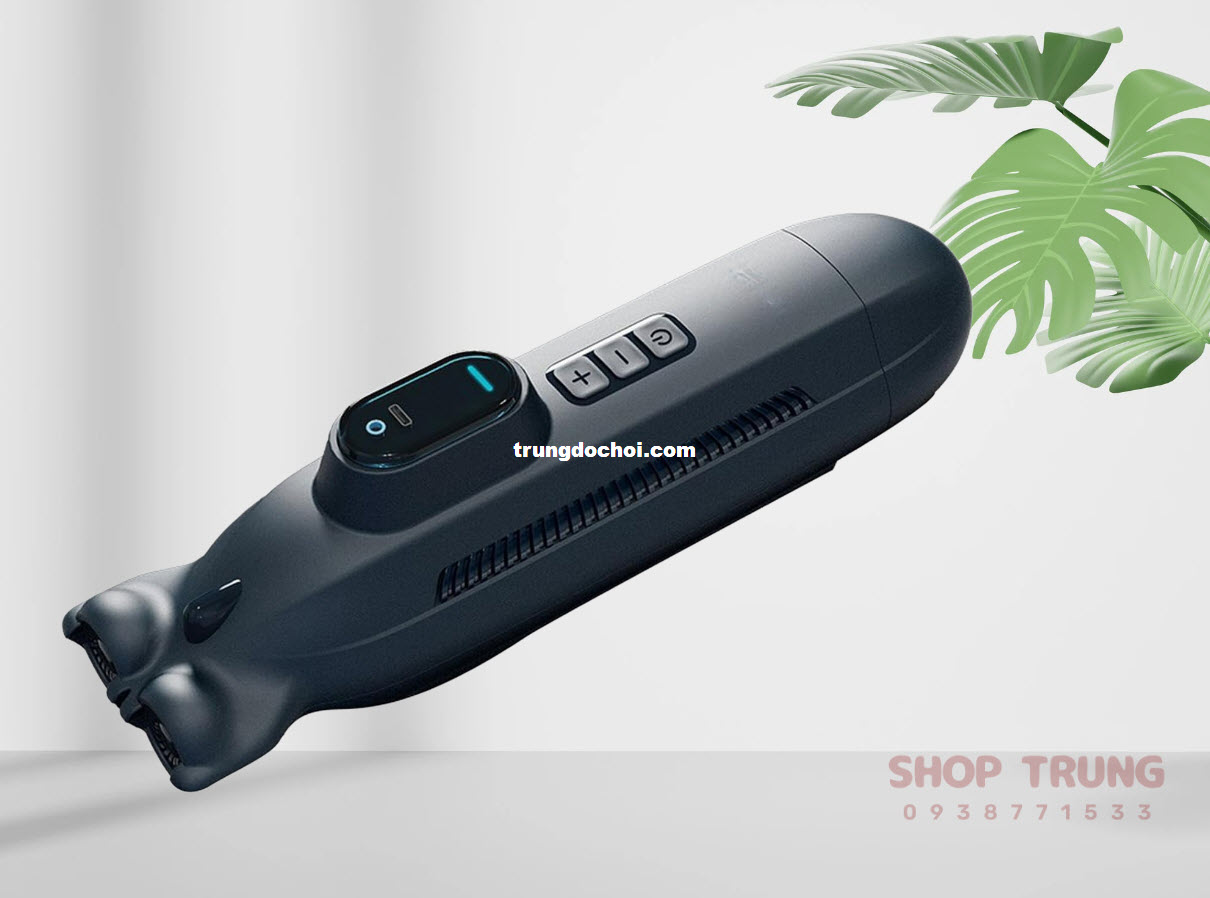 Leten Submersible Aircraft Leten Submersible Aircraft