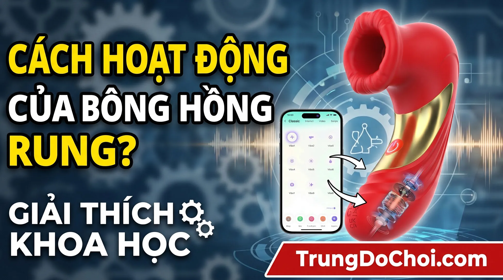 Cach hoat dong hoa hong co rung Cach hoat dong hoa hong co rung