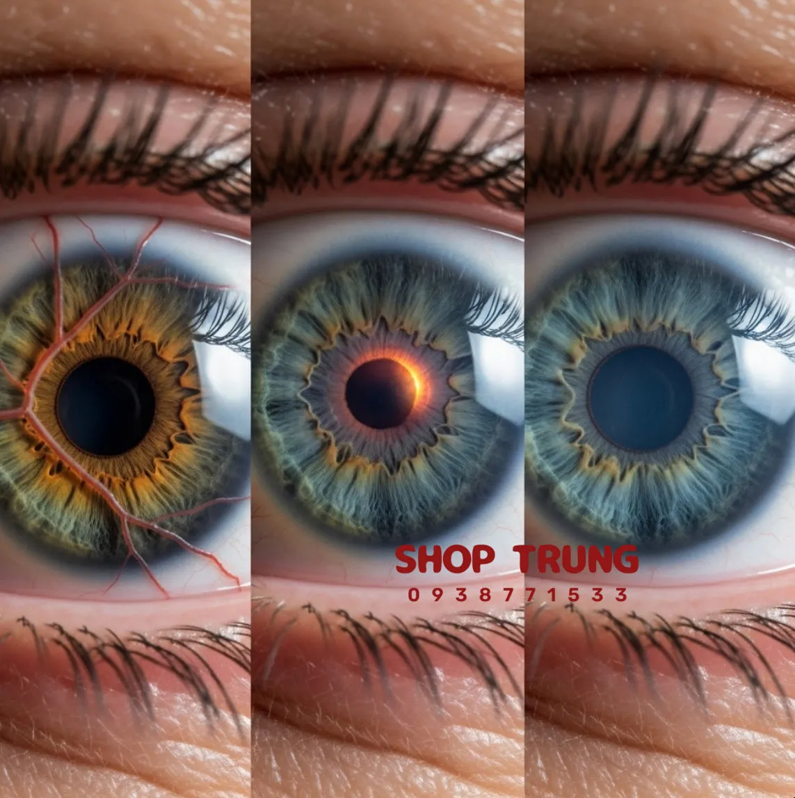 tac hai cua Popper tac hai cua Popper