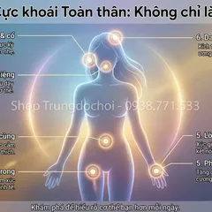 Bí Quyết Phòng The Cho Cặp Đôi Nữ 7 Nền Tảng Để Đời Sống Tình Dục Thực Sự Thăng Hoa