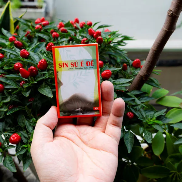 Sìn Sú dạng xịt giúp bạn gia tăng sức mạnh lên 30p