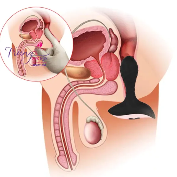 Trải nghiệm thích thú với dụng cụ Matxa tuyến tiền liệt 