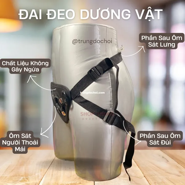 Phụ kiện đai đeo dương vật - có thể gắn mọi dương vật gắn tường