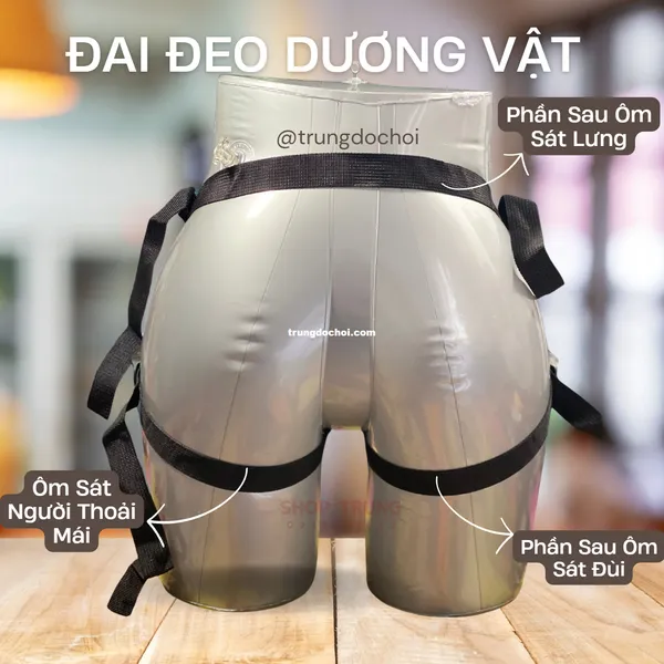 Phụ kiện đai đeo dương vật - có thể gắn mọi dương vật gắn tường